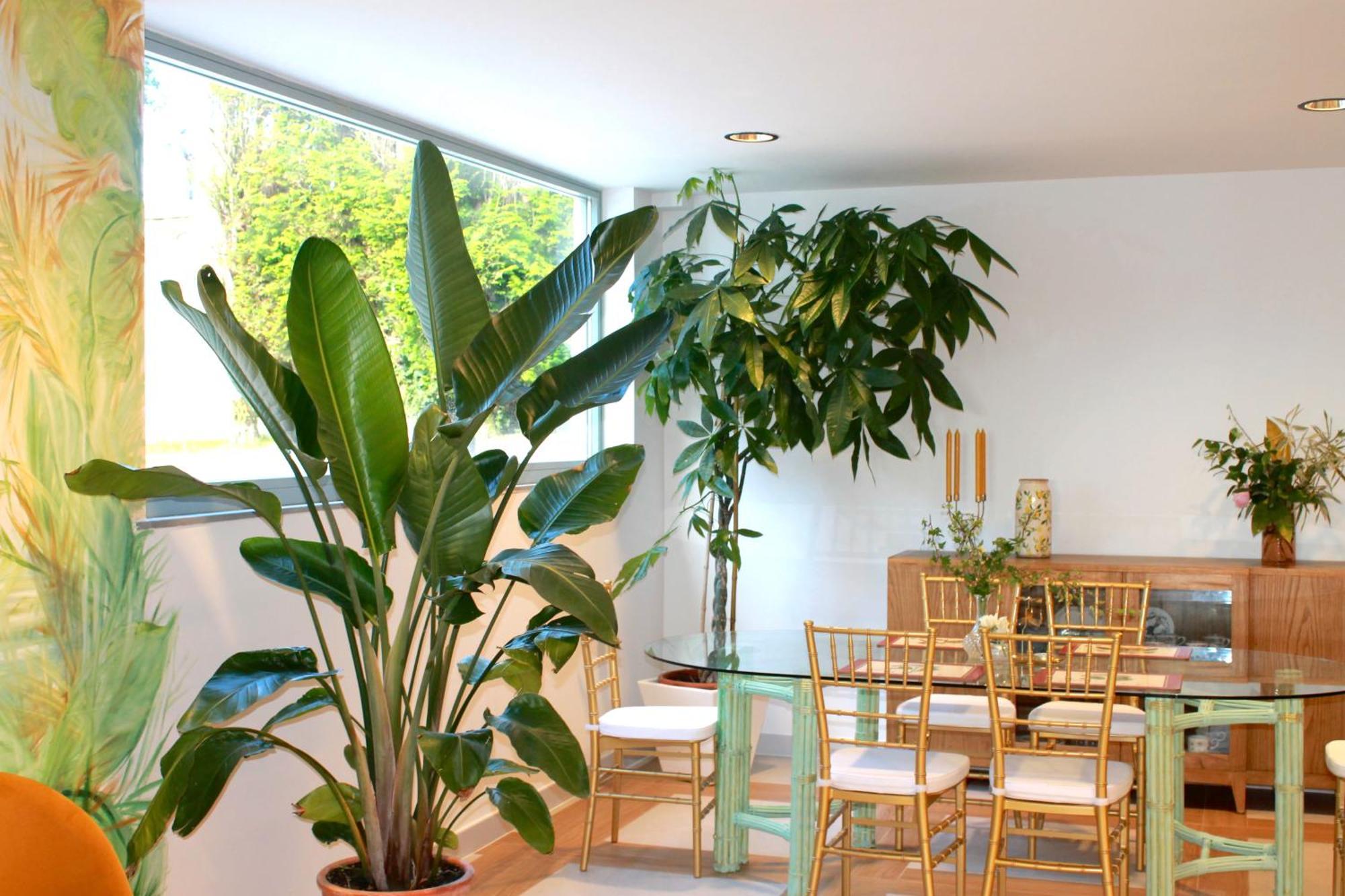 Hotel Boutique Villa Del Marques Muros de Nalón Zewnętrze zdjęcie