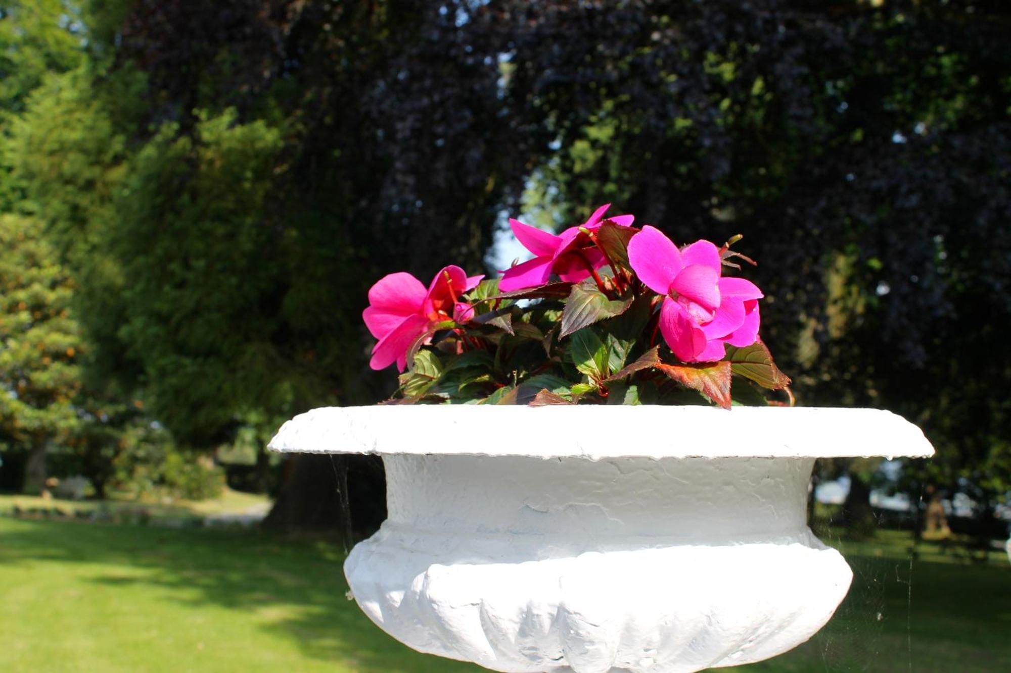Hotel Boutique Villa Del Marques Muros de Nalón Zewnętrze zdjęcie