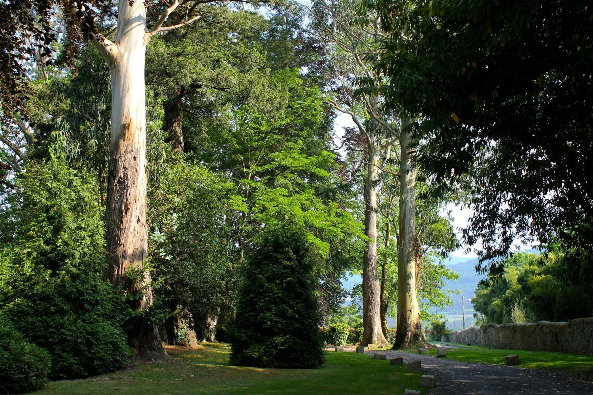 Hotel Boutique Villa Del Marques Muros de Nalón Zewnętrze zdjęcie