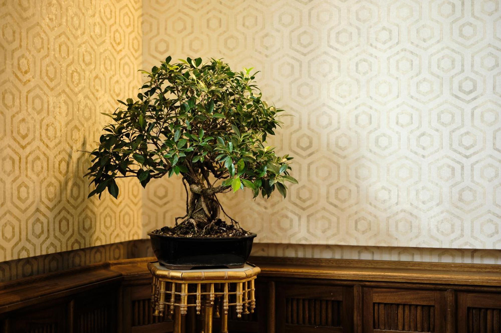 Hotel Boutique Villa Del Marques Muros de Nalón Zewnętrze zdjęcie